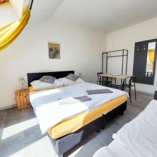 Beautiful attic room R3 - Praga - 2