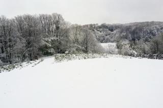 Croatian Wood & Hills Heritage Retreat - 5