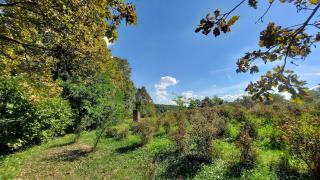 Traditional Croatian Cabins - Nature Therapy - - 1