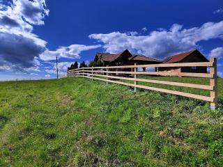 Traditional Croatian Cabins - Nature Therapy - - 5