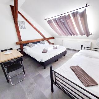 Útulný podkrovní pokoj R4 - Prag - 8