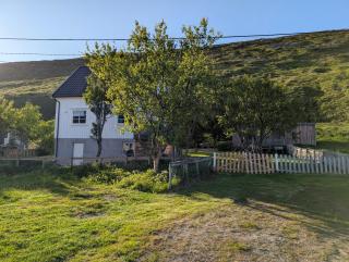 North Cape family lodge - Skarsvåg - 9