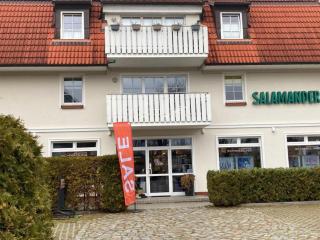 Ferienwohnung 1 Strandstraße 55 - Zingst - 9