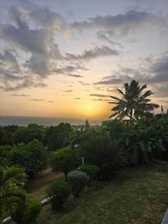 LaBelleVue Antigua Oceanview Suites and OnSite Car Rentals - Crosbies - 7
