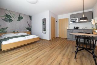 Dreisam Apartments - Freiburg im Breisgau - 3