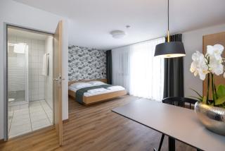 Dreisam Apartments - Freiburg im Breisgau - 1