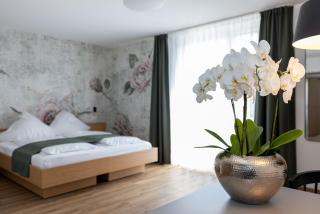 Dreisam Apartments - Freiburg im Breisgau - 0