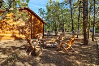 Large Yard with Fire Pit Show Low Cabin - Show Low - 9