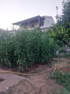 Laertis house - Himare - 2