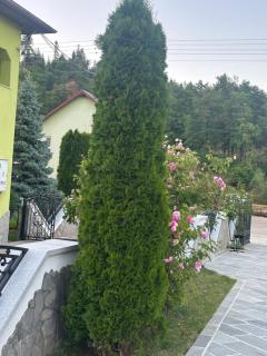 Casa Adi Sucevița - Voivodeasa - 1