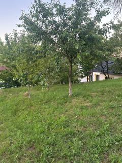 Casa Adi Sucevița - Voivodeasa - 3