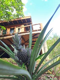 Bangalô do Pôr do Sol Moreré - 6