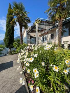 Whales house - Horseshoe Bay - 8