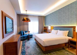 Hotel THE MANNAT UNIT OF LACASA Near Delhi AIRPORT Free Airport Drop - Neu-Delhi - 0