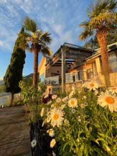 Dream House -Water Lily - Horseshoe Bay - 8