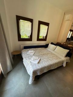 Pelion Bloom - 5