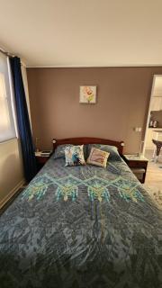 Cozy and nice apartment - Viña del Mar - 4