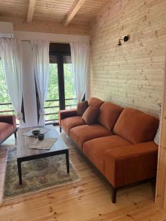 Vila Durmitor - Žabljak - 3