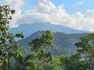Sweet Caribbean Home - 9