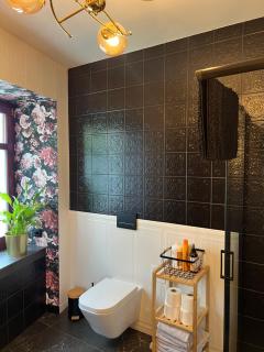 Apartamenty Katedralna Legnica - Legnica - 0