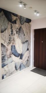 Apartament Leśna nad jeziorem Długim - 6