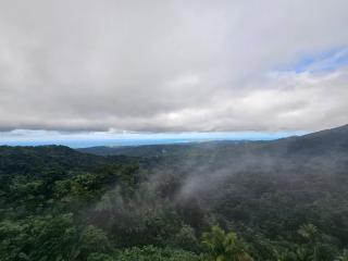 Sweet Caribbean Home - 7