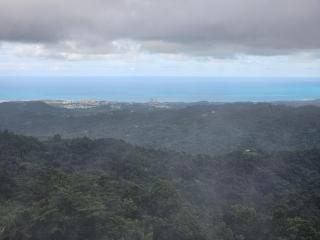 Sweet Caribbean Home - 6