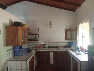 Mono verde - Moyogalpa - 8