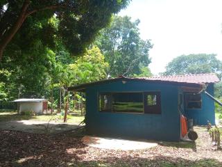 Mono verde - Moyogalpa - 3