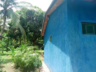 Mono verde - Moyogalpa - 1