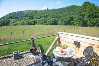 Scenic Valley Pet Friendly Escape Pod in Talybont Aberystwyth - Aberystwyth - 5