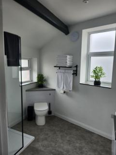 Posyrooms Apartment - Stalybridge - 3