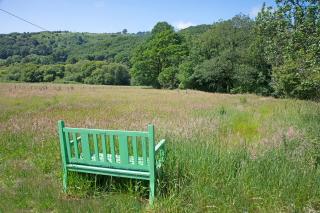 Scenic Pet Friendly Pod in Talybont Aberystwyth - 3