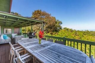 Hale Ohia - Princeville - 5