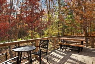 Cozy Cabin w Lake, Hot Tub, Huge Deck & Fire Pit - Lost City - 2