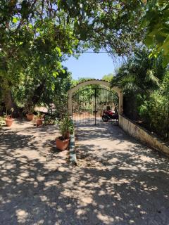 The Green Garden in AGIA VASSA - Chio (Chios) - 9