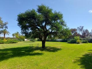Maison Dépendance - Mas Des Catalanes - 8