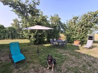 Charming country house near Saint-Emilion - Sainte-Terre - 6