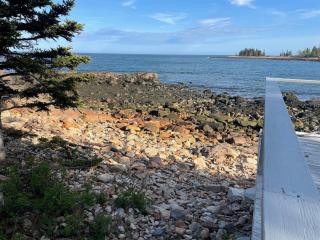 Acadia Schoodic Oceanfront Cabin - Gouldsboro - 4
