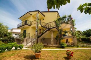 Apartments in Porec - Istrien 47127 - Poreč - 9