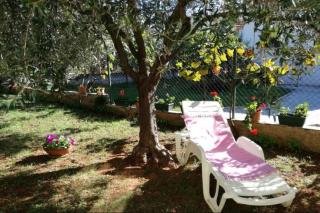 Apartments in Porec - Istrien 47127 - Poreč - 7