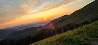 Erd´s Hoimatle Ferienwohnung - 8