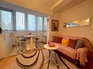 Apartment DEISY - Sarajevo - 8