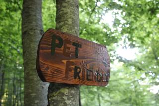 Little forest home - - 5