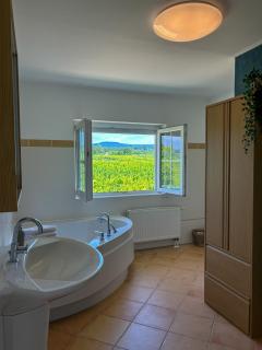 Villa am Weinberg mit Garten großzügig und exklusiv - Geisenheim - 6