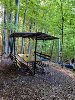 Little forest home - - 4