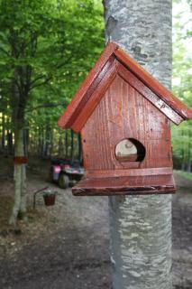 Little forest home - - 1