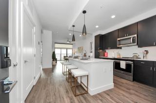 1bd Luxury apartment near Texas Medical Center - Houston - 6