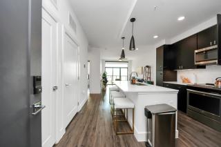 1bd Luxury apartment near Texas Medical Center - Houston - 4