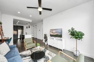 1bd Luxury apartment near Texas Medical Center - Houston - 3